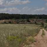 Per raggiungere la cava da Spinazzola percorriamo la provinciale 230 per dieci chilometri e poi svoltiamo sulla sp138. Dopo 2,5 km, all�altezza di un cartello scolorito dal sole con su scritto �Parco nazionale dell�Alta Murgia�, giriamo a destra su una strada sterrata, in localit� Senarico